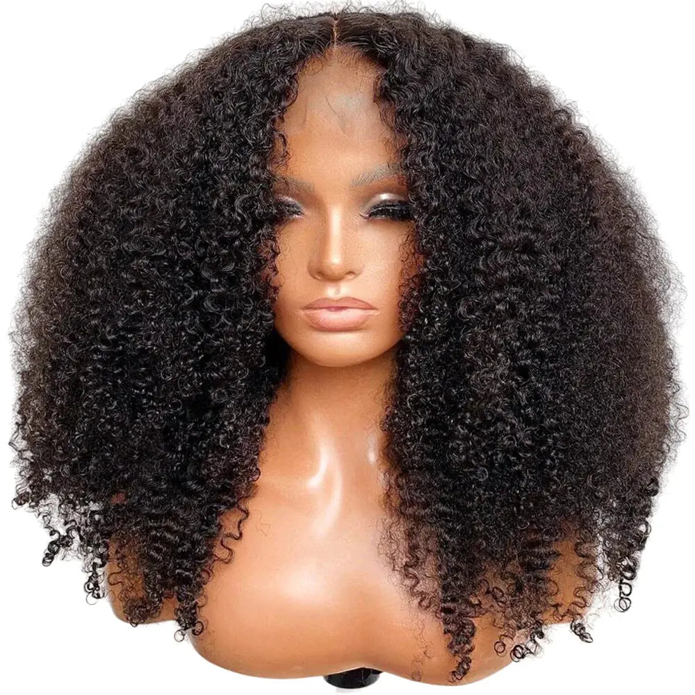 Mongolian | Kinky Curly | Human Hair | Lace Front | Lace Closure Wig